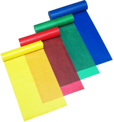 Exercise band